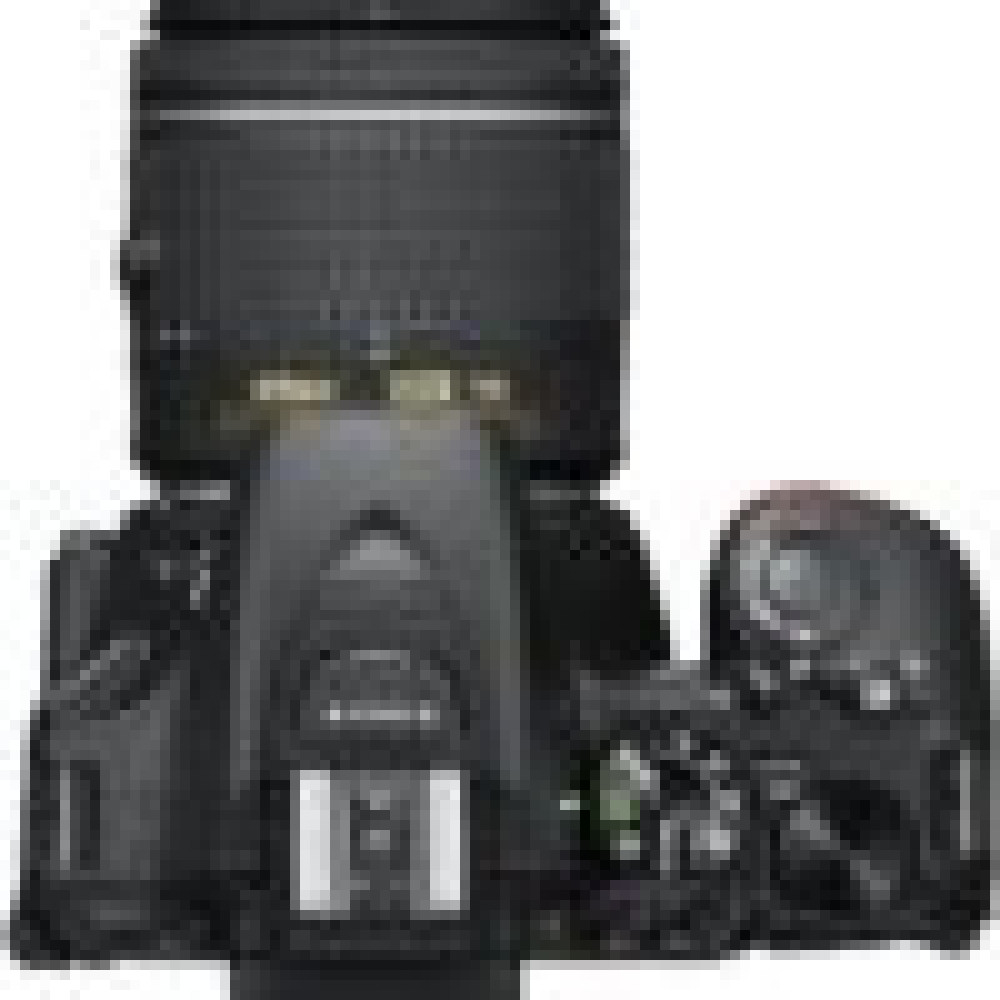 Canon EOS 90D + EF-S 18-135mm IS USM Lens Kit