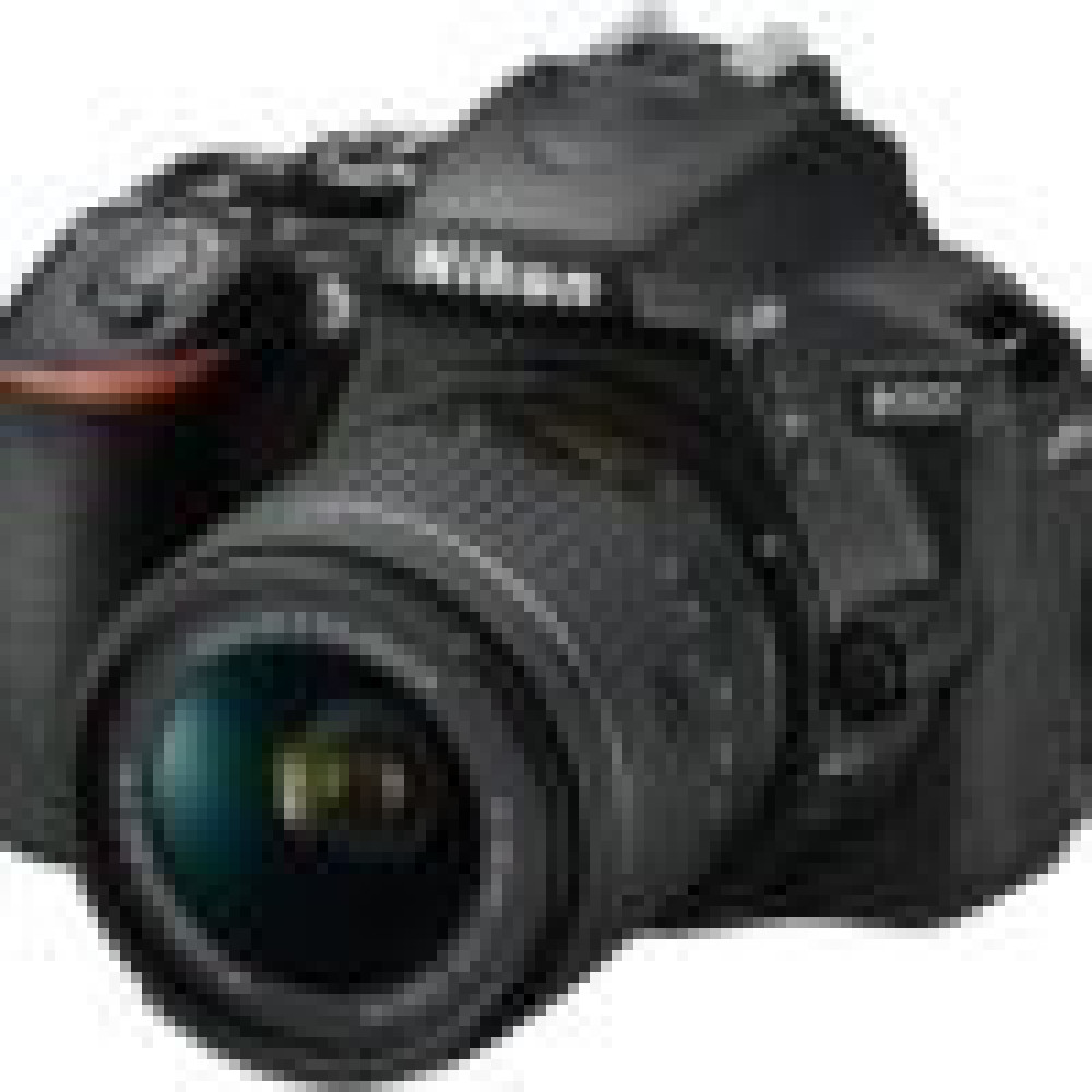 Canon EOS 90D + EF-S 18-135mm IS USM Lens Kit