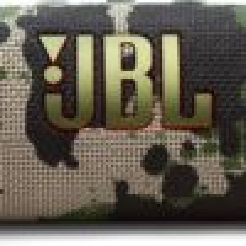 JBL Flip 7 – Portable Waterproof and Drop-Proof Speaker, Bold Pro Sound with AI Sound Boost, 16Hrs of Playtime, and PushLock System with Interchangeable Accessories